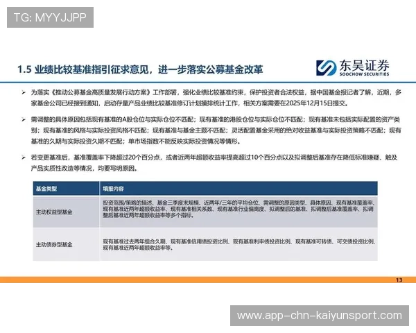 养老基金正收益背后的挑战与机遇，养老基金的好处